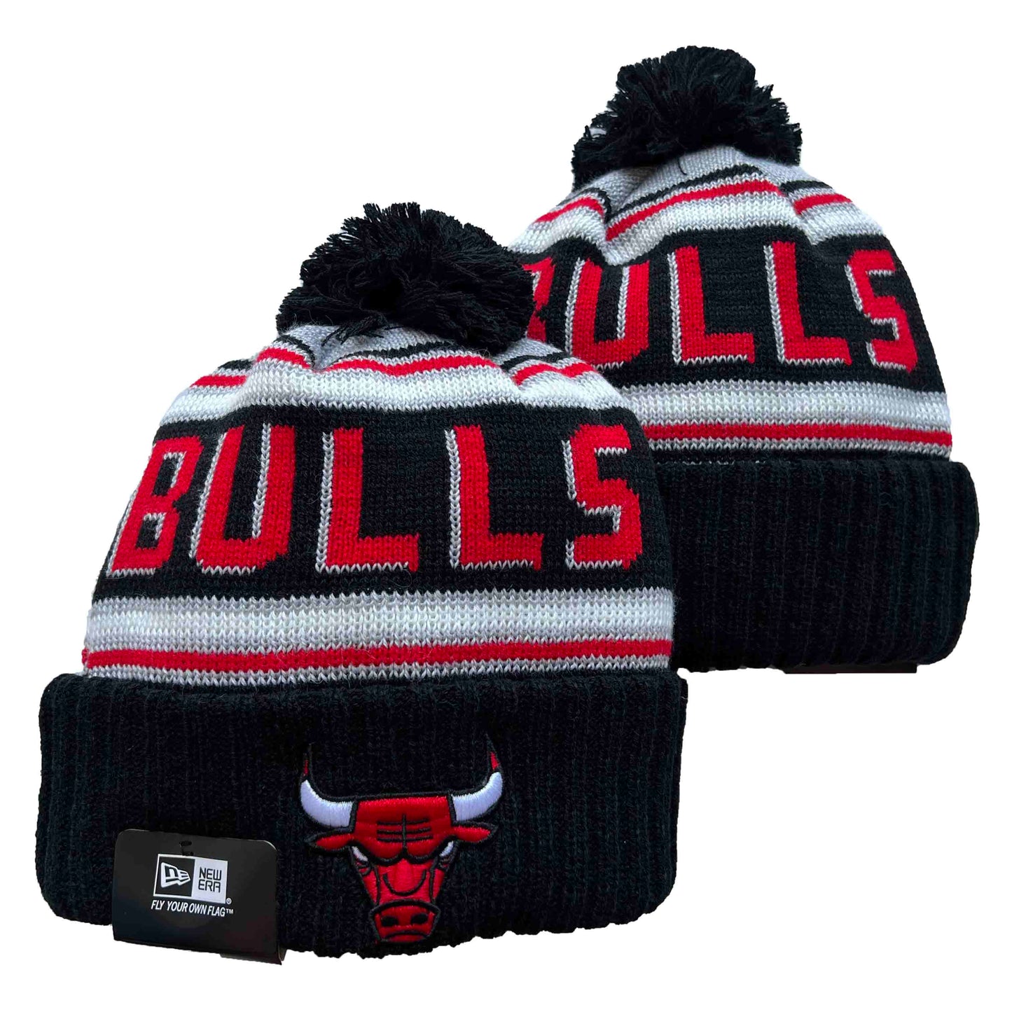 CHICAGO BULLS