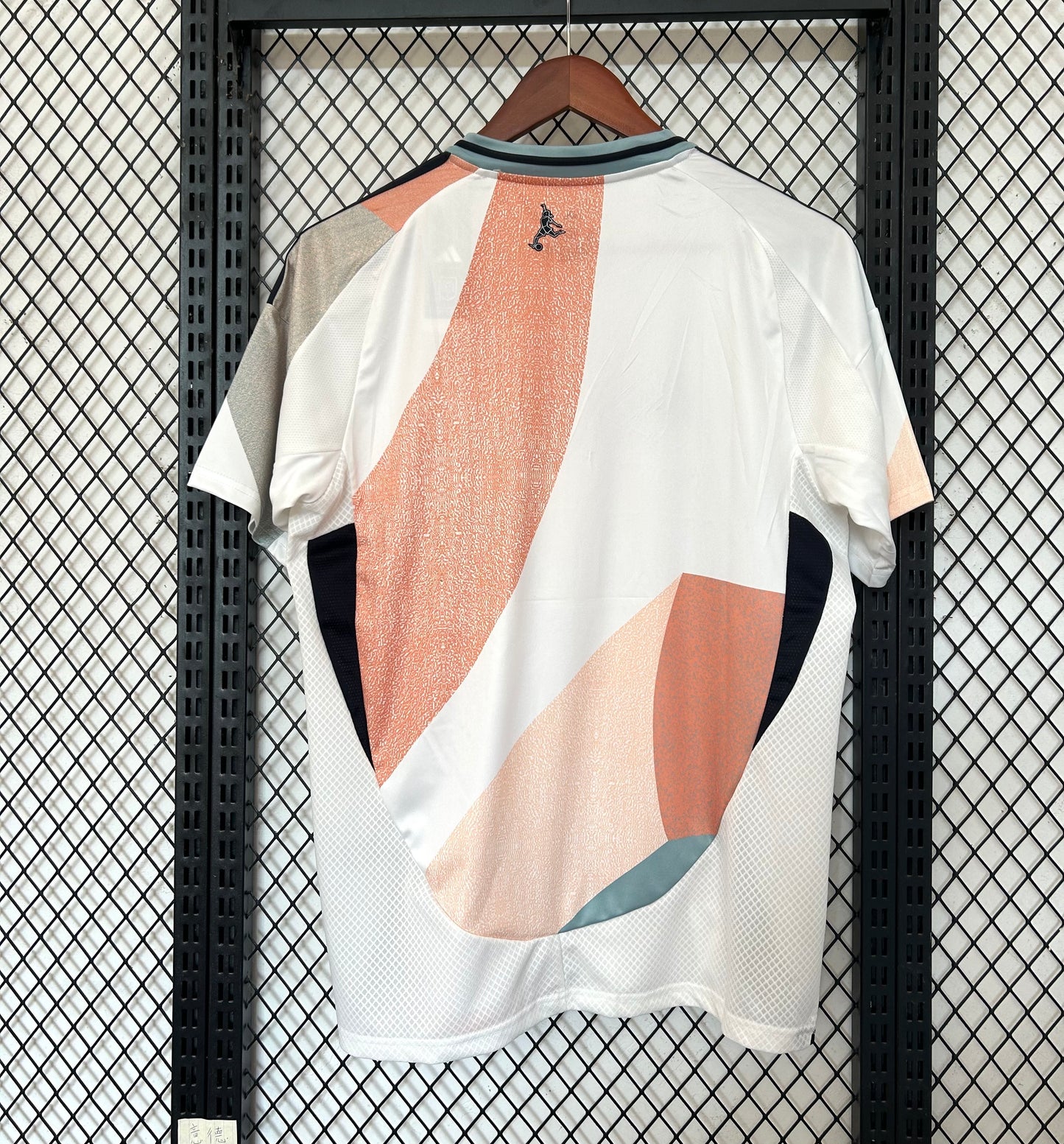 ESPAÑA FAN VISITA 2025