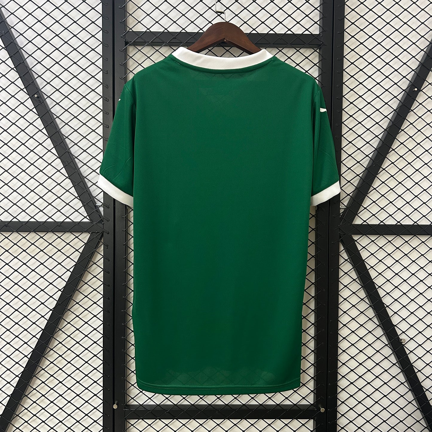 PALMEIRAS LOCAL FAN 25-26