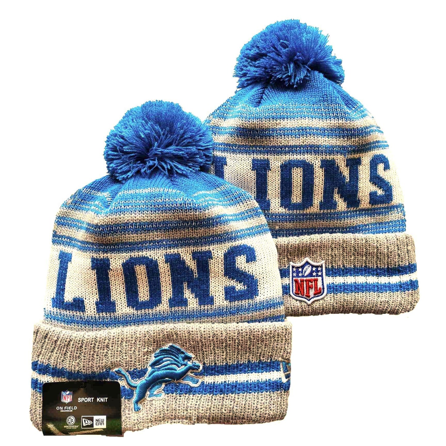 Detroit Lions