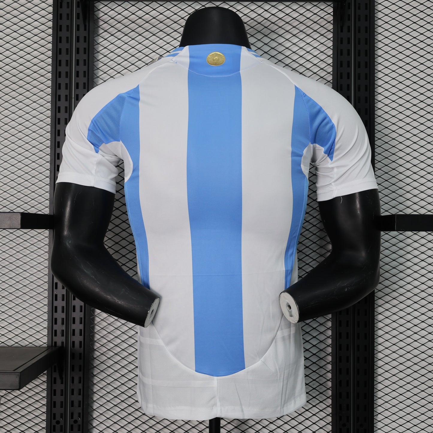 ARGENTINA LOCAL 2024