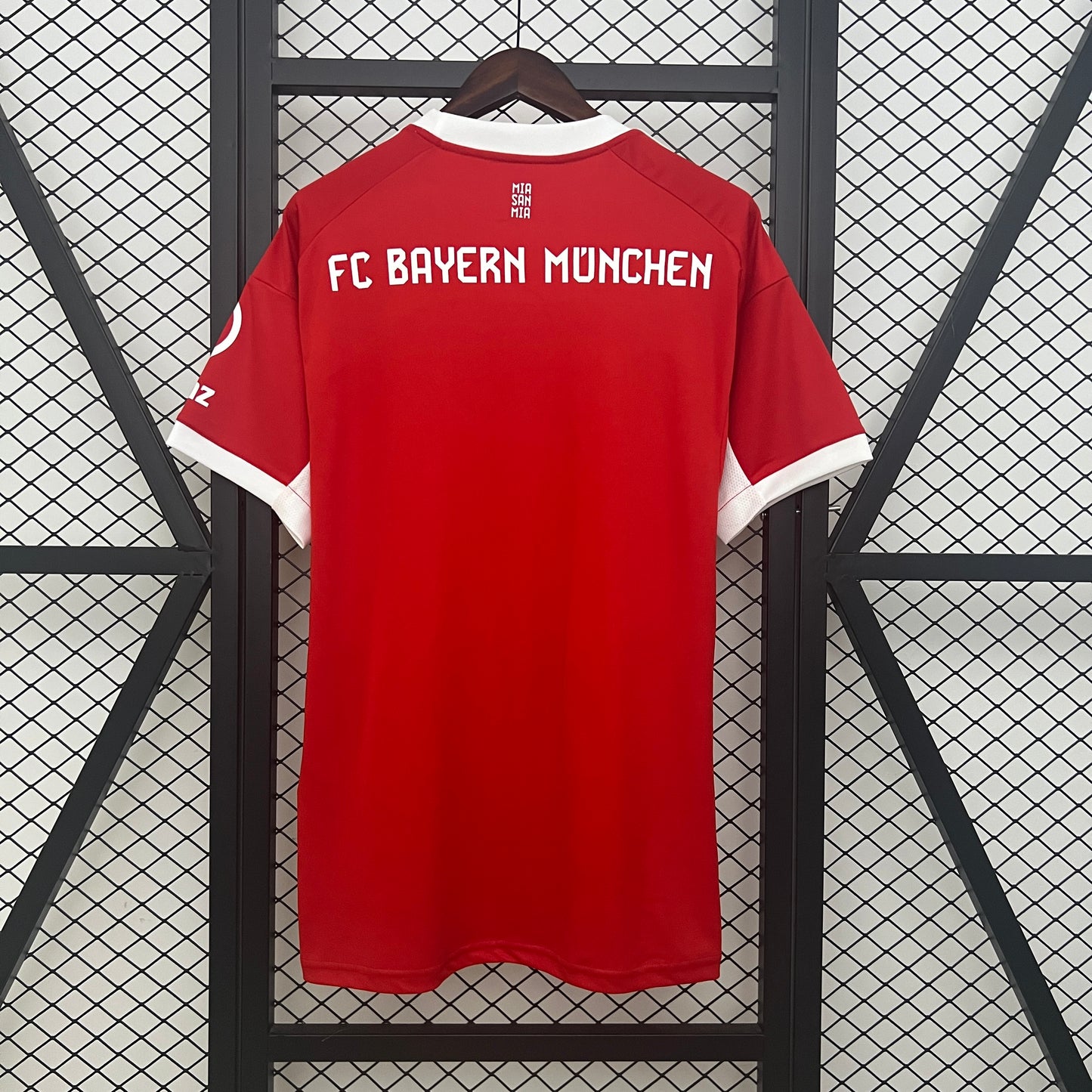 BAYERN 25-26 FAN