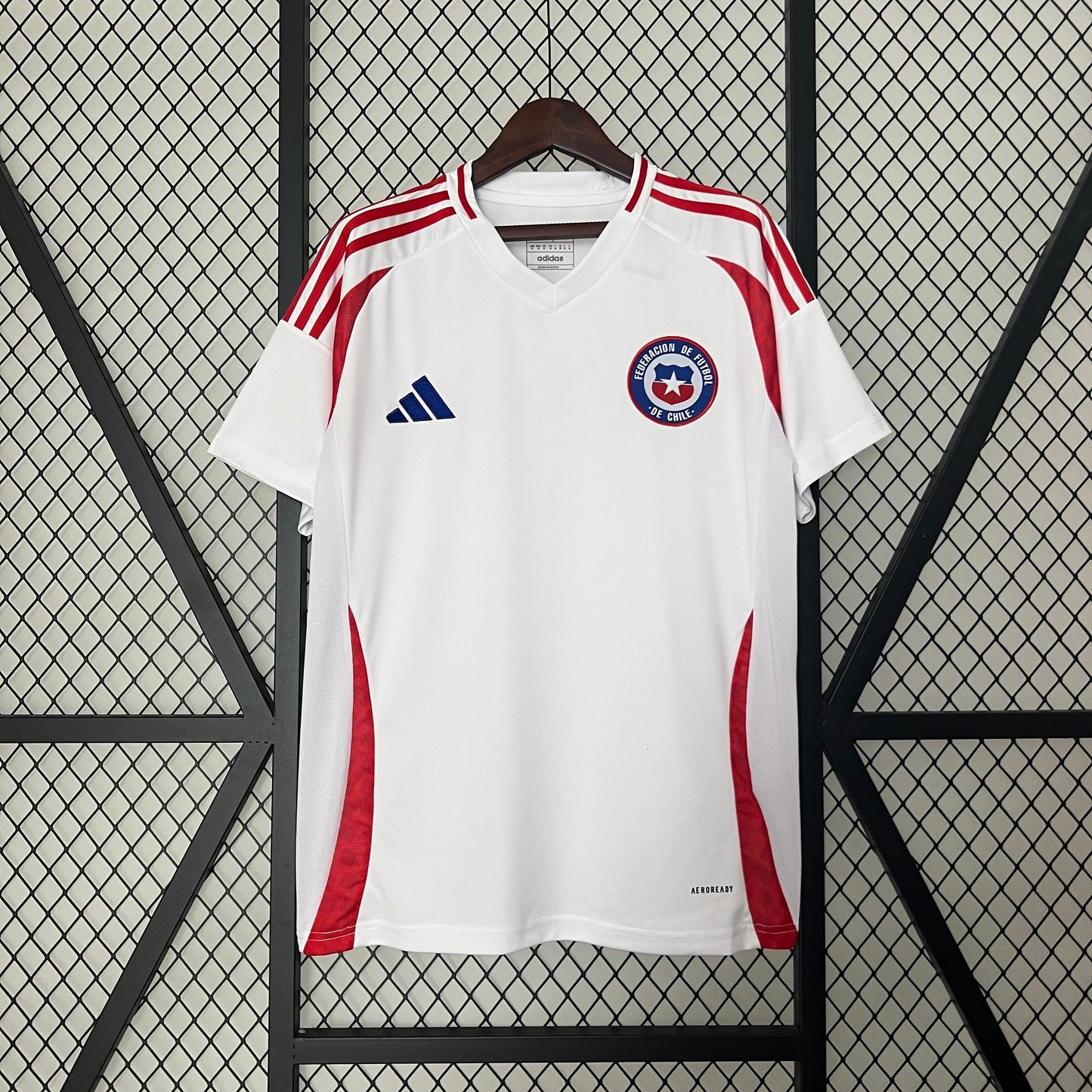 CHILE FAN VISITA 2024