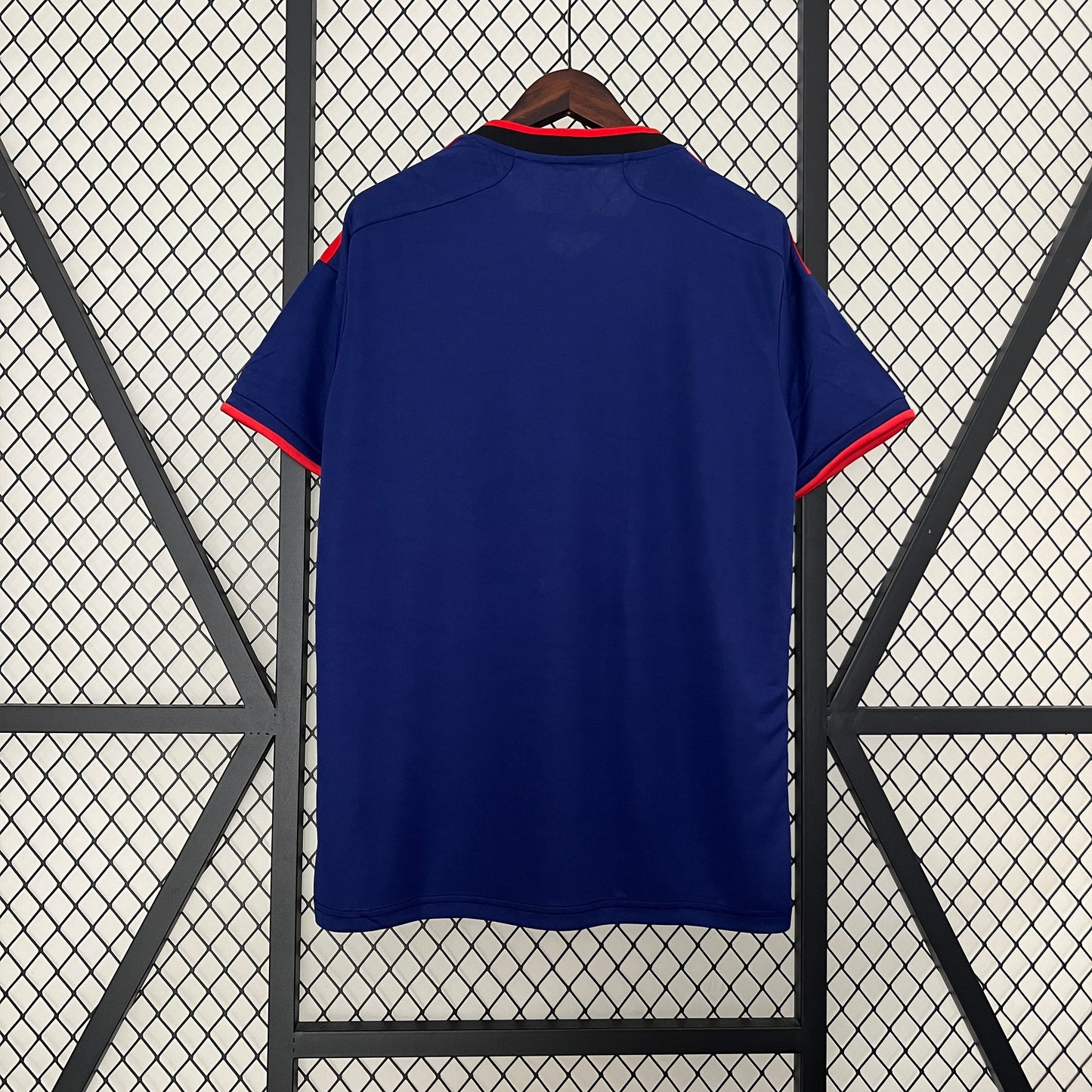 JAPÓN ESPECIAL AZUL 2024