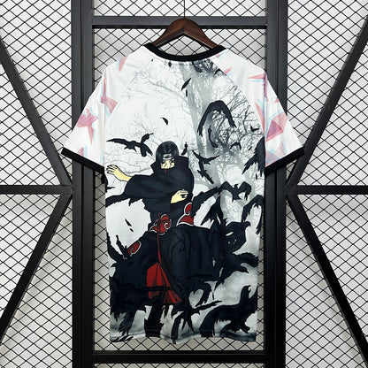 JAPÓN LEVI ITACHI 2024