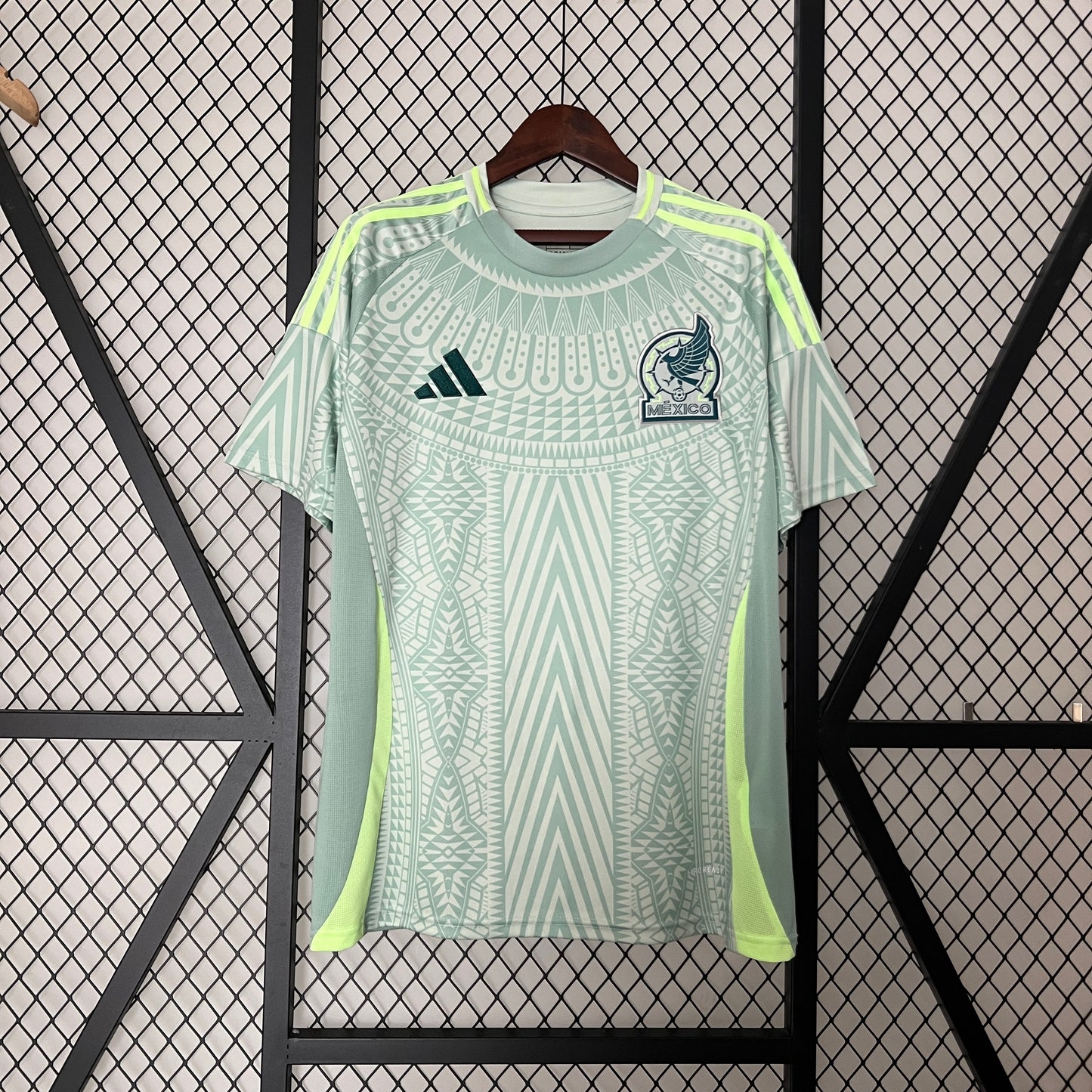 MÉXICO FAN VISITA 2024