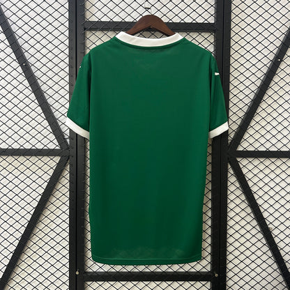 PALMEIRAS LOCAL FAN 25-26