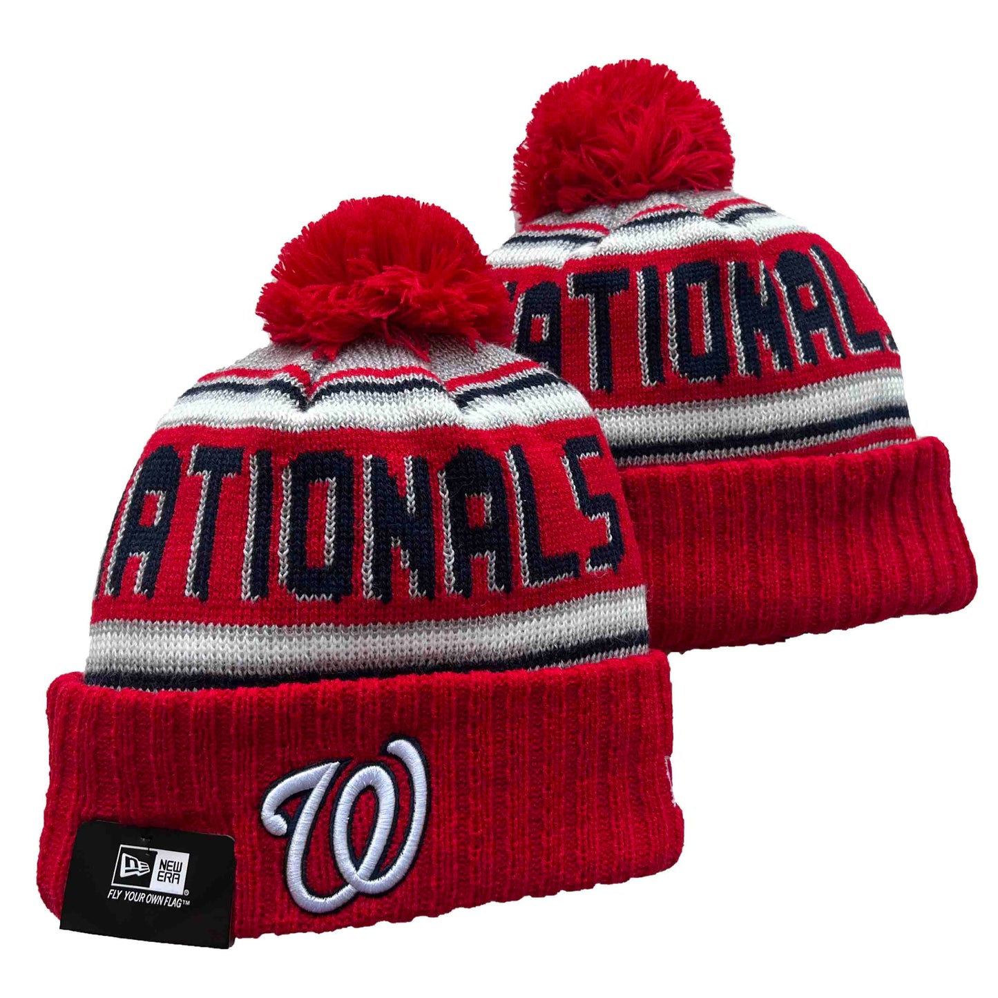 WASHINGTON NATIONALS